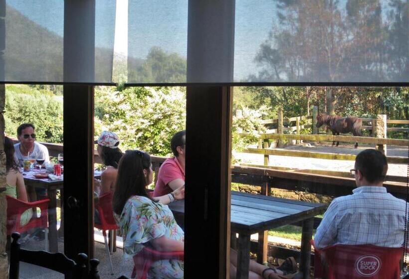 هتل Quintinha D`arga