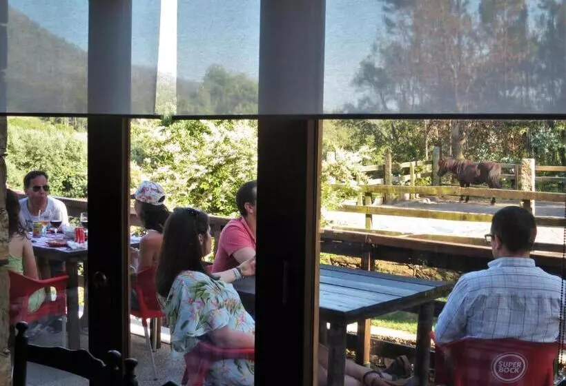 هتل Quintinha D`arga