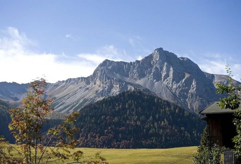 客栈  Albergo Diffuso Sauris In Sauris Di Sopra