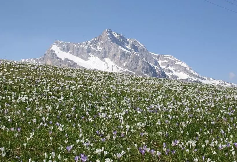 簡易ホテル Albergo Diffuso Sauris In Sauris Di Sopra