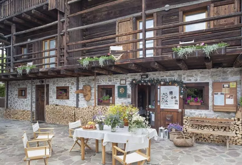 簡易ホテル Albergo Diffuso Sauris In Sauris Di Sopra
