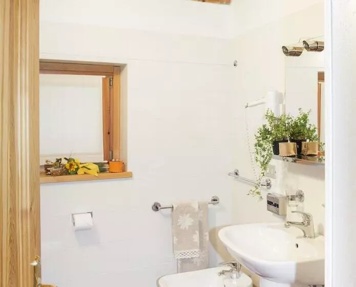 簡易ホテル Albergo Diffuso Sauris In Sauris Di Sopra
