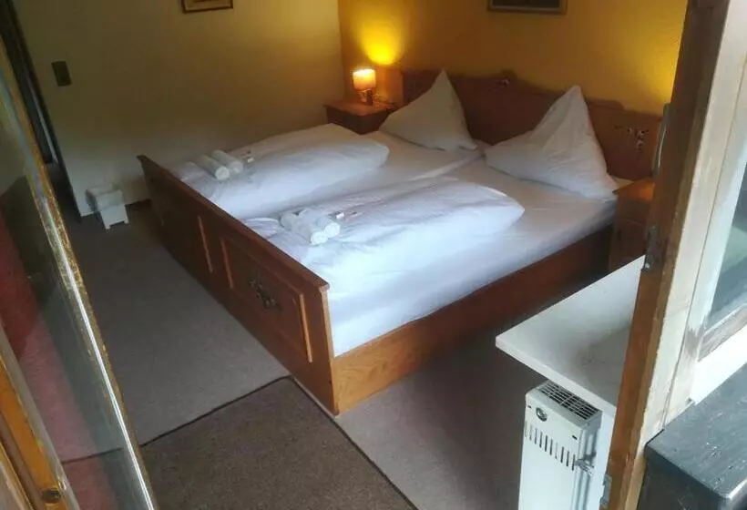 Hotel Waldhaus