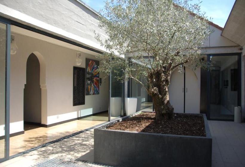 تختخواب و صبحانه Le Loft De Patricia