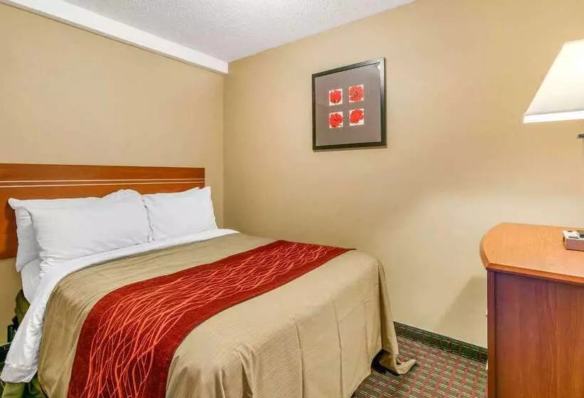 호텔 Rodeway Inn Rapid City