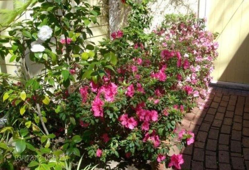 酒店 Secret Garden Inn & Cottages