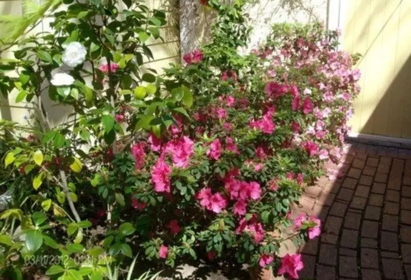 فندق Secret Garden Inn & Cottages