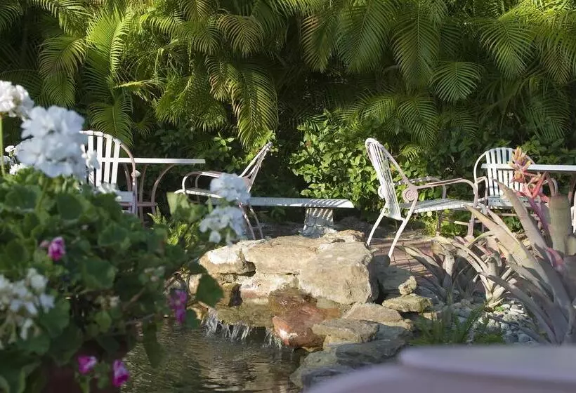 فندق Song Of The Sea