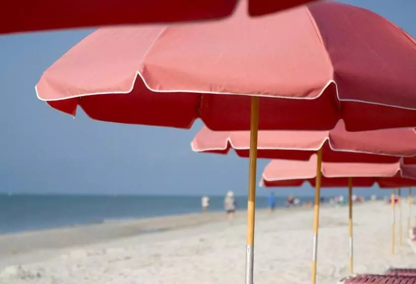 فندق Song Of The Sea