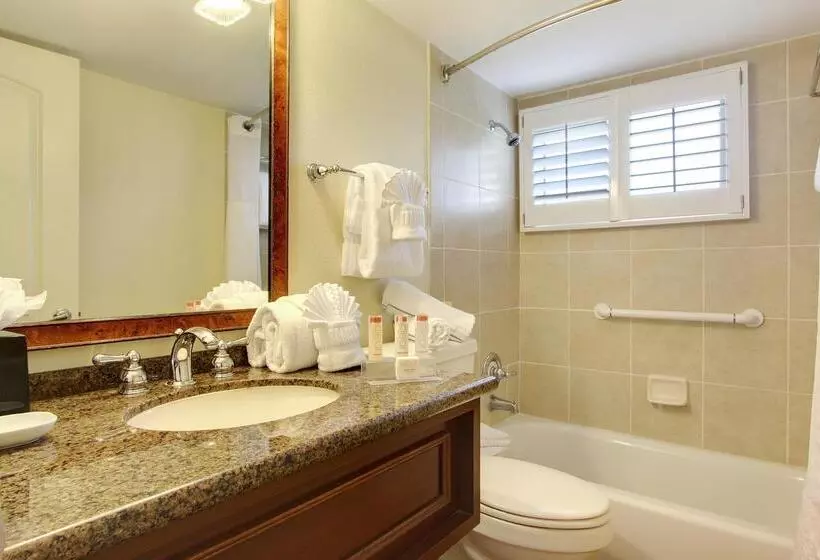 فندق Song Of The Sea