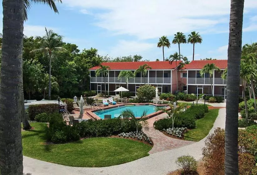 فندق Song Of The Sea