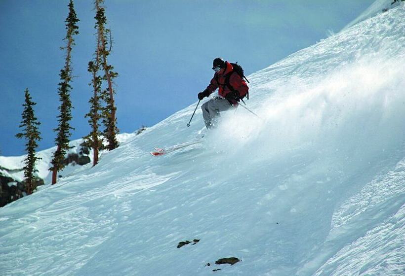 هتل The Rusty Parrot Lodge And Spa