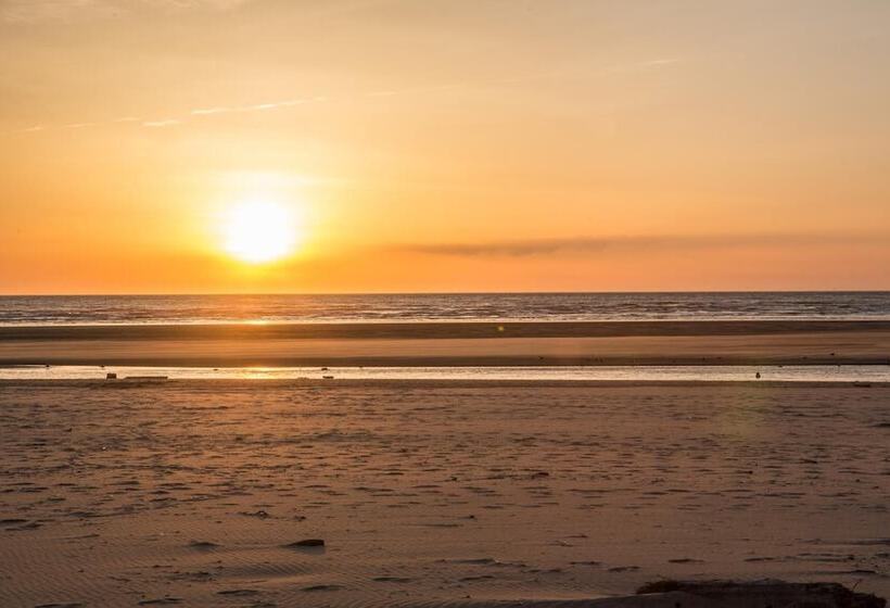 فندق على الطريق Schooner S Cove Inn