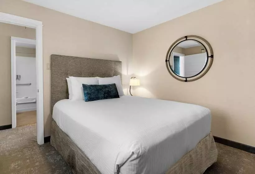 モーテル Schooner S Cove Inn