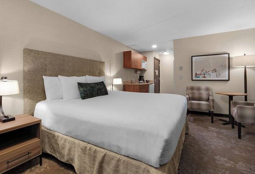 فندق على الطريق Schooner S Cove Inn