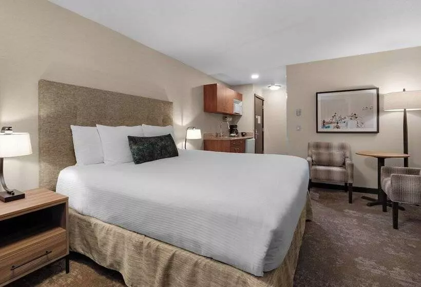 モーテル Schooner S Cove Inn