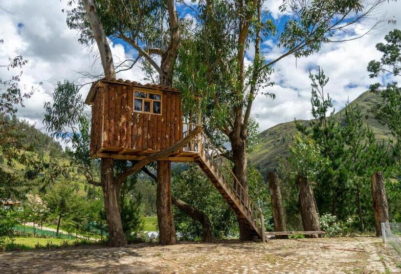 هتل Fundo El Chocho