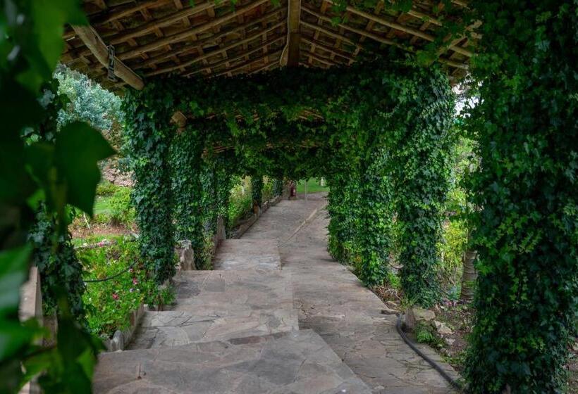 هتل Fundo El Chocho