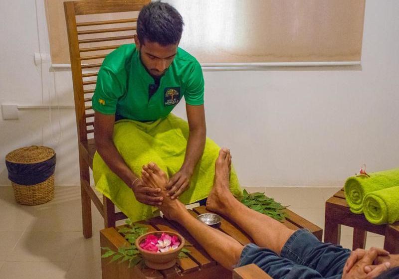 Otel Dambulla Nature Resort