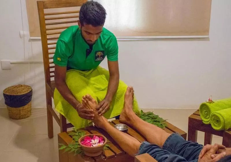 هتل Dambulla Nature Resort