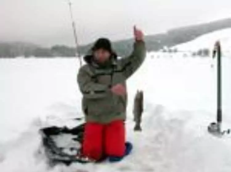 ホテル Datcha Anastasia