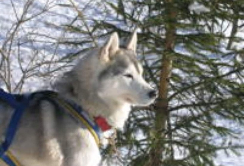 Hotel Datcha Anastasia