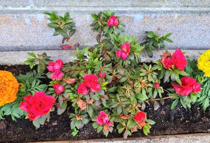 Отель A Forxa Cafetería Restaurante