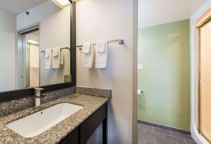 فندق Rodeway Inn