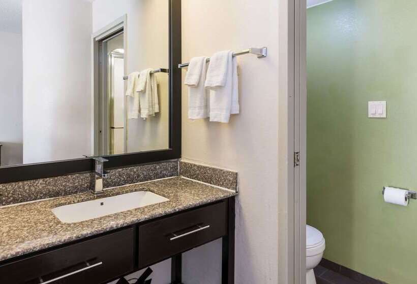 فندق Rodeway Inn