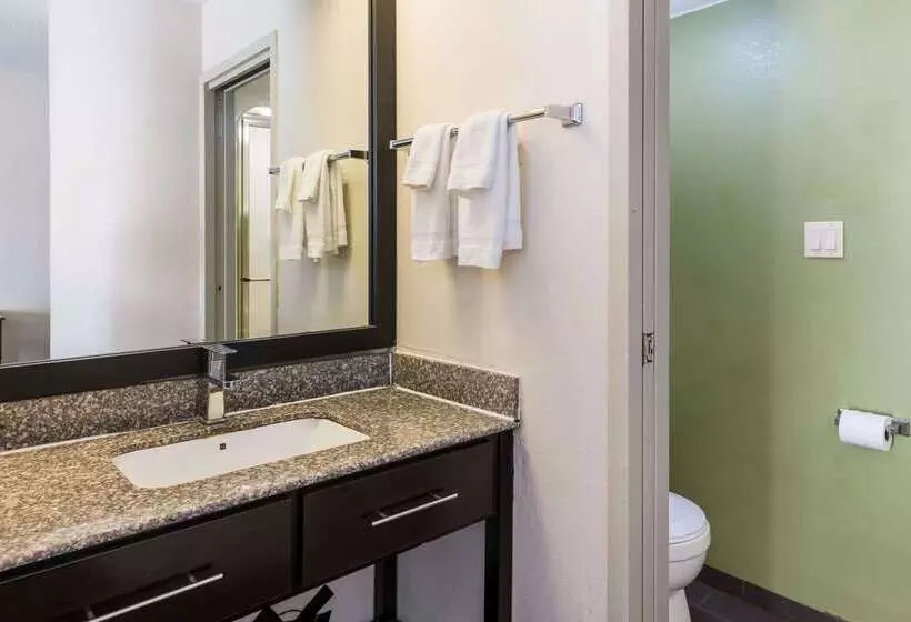 בית מלון כפרי Rodeway Inn