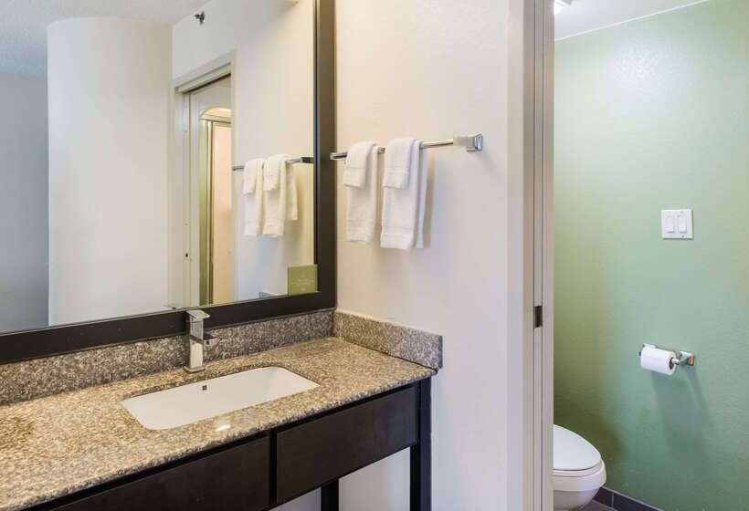 فندق Rodeway Inn