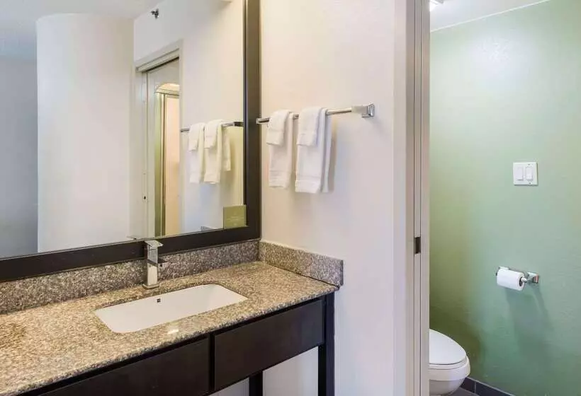 בית מלון כפרי Rodeway Inn