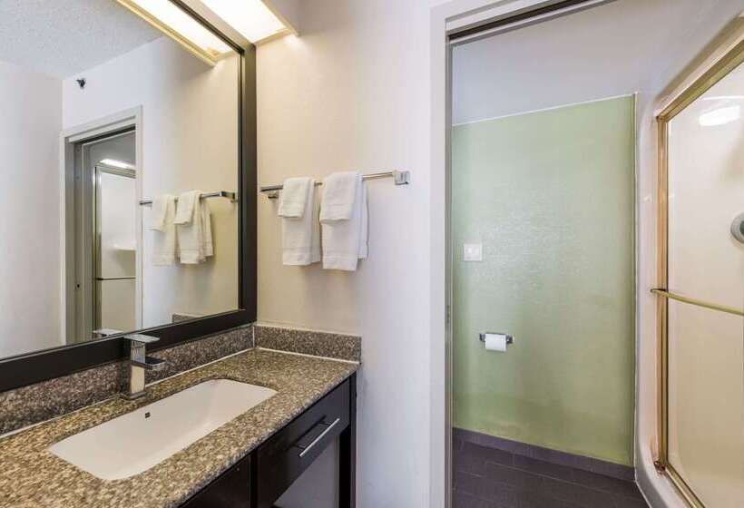 فندق Rodeway Inn