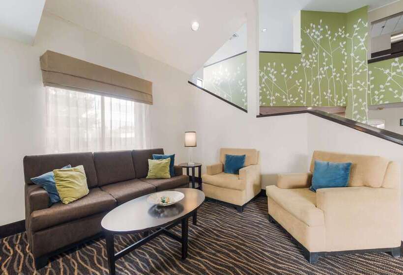 فندق Rodeway Inn