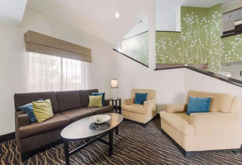 בית מלון כפרי Rodeway Inn