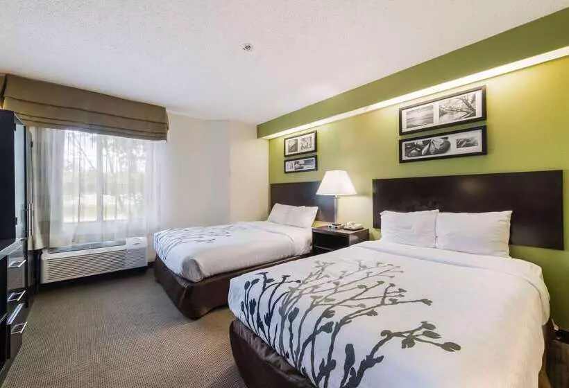 בית מלון כפרי Rodeway Inn