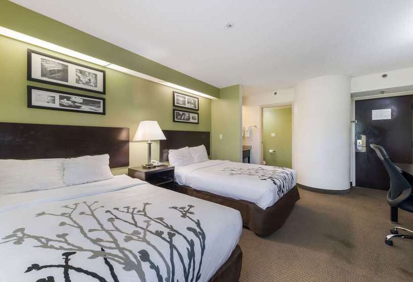 فندق Rodeway Inn