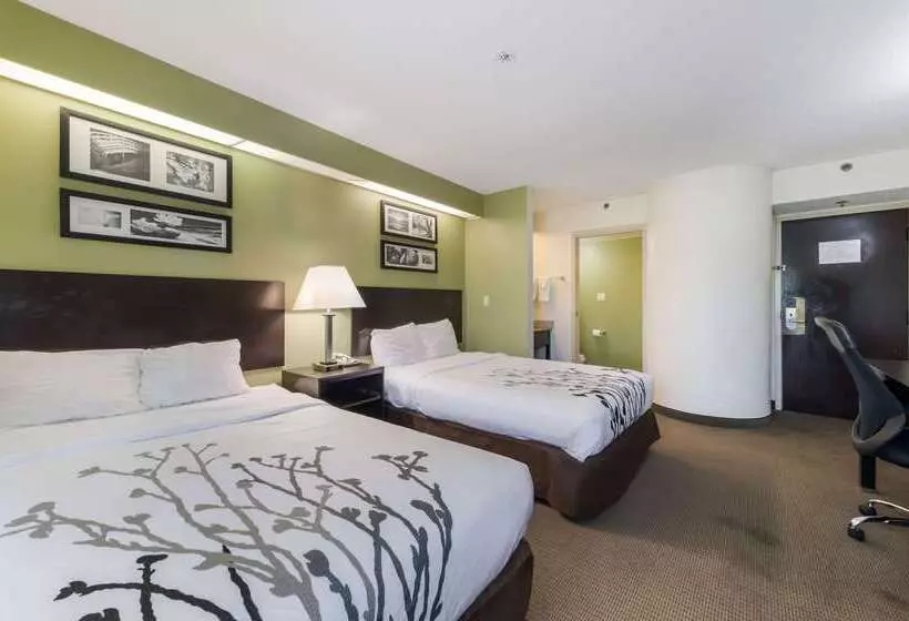 בית מלון כפרי Rodeway Inn