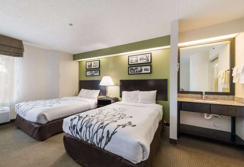 فندق Rodeway Inn