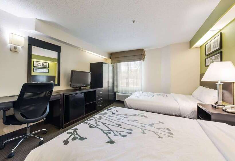 فندق Rodeway Inn