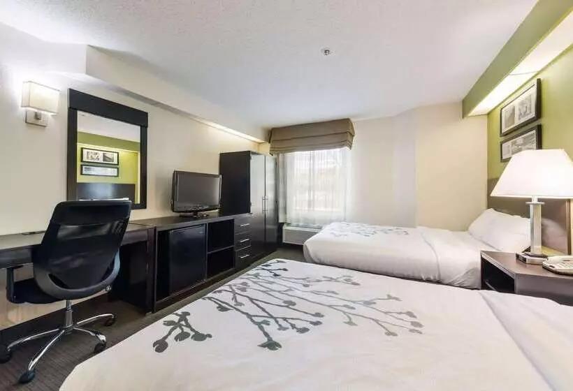 בית מלון כפרי Rodeway Inn