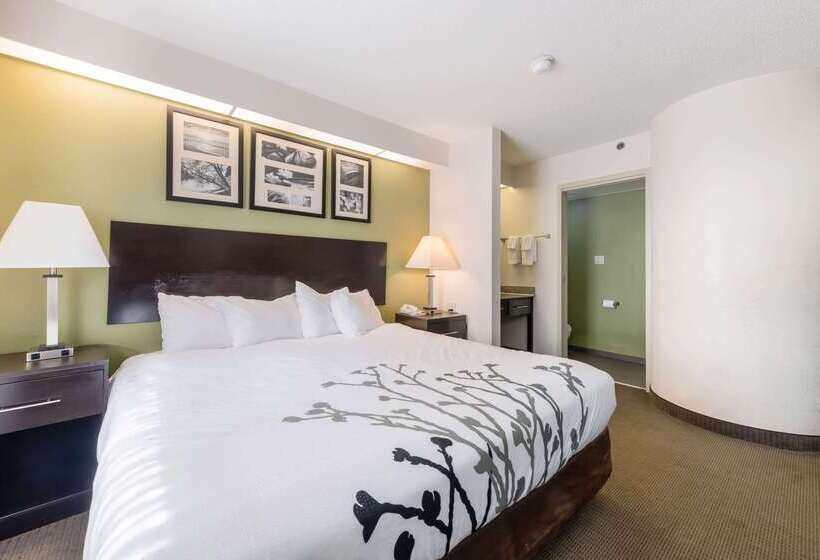 فندق Rodeway Inn