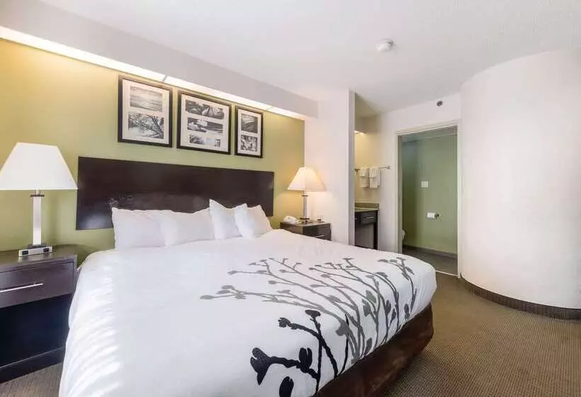 בית מלון כפרי Rodeway Inn