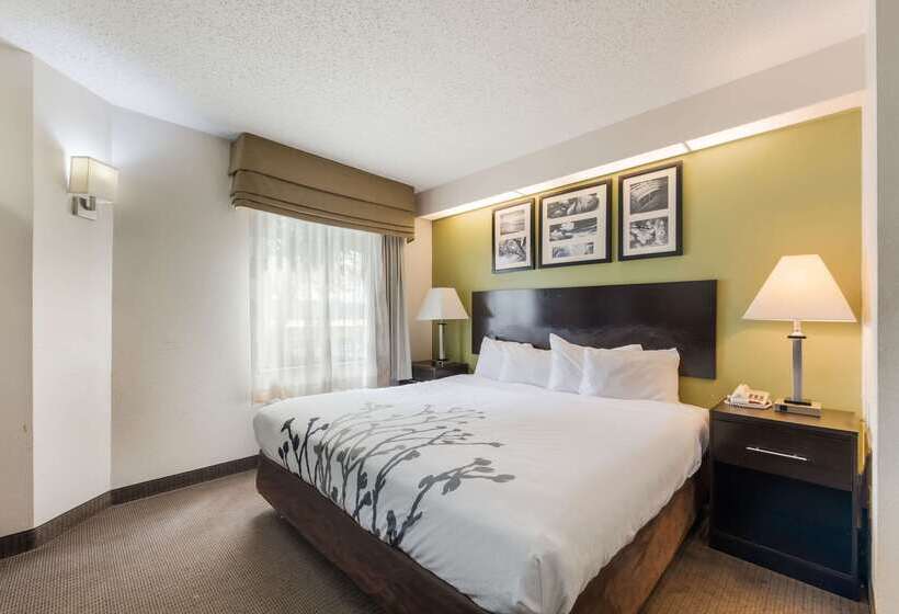 فندق Rodeway Inn