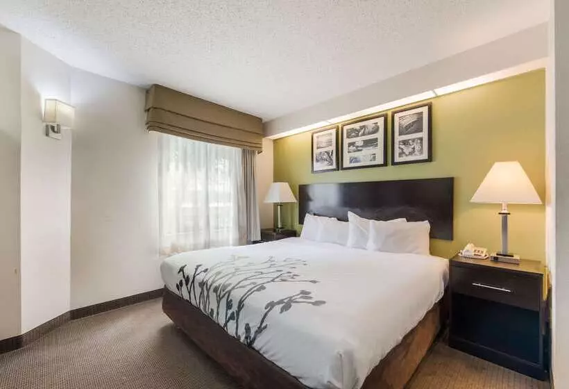 בית מלון כפרי Rodeway Inn