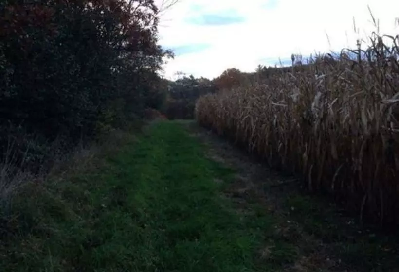 酒店 Silver Maple Lodge & Cottages