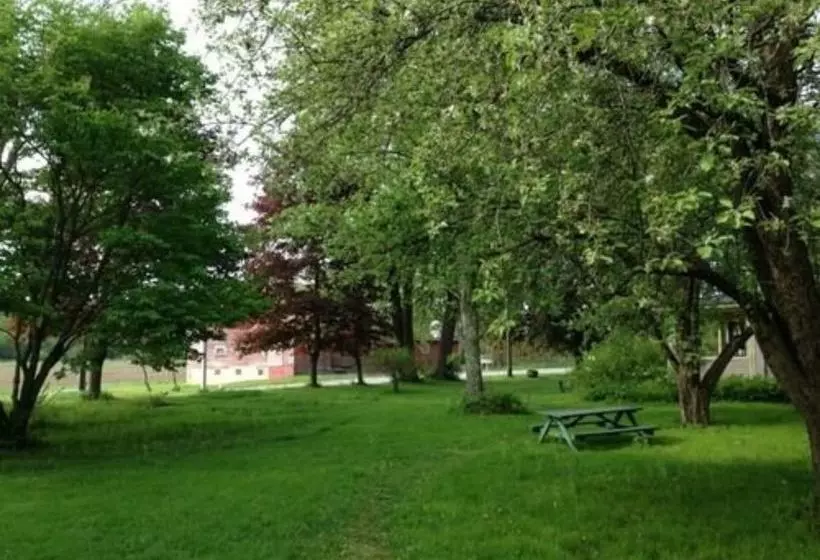 酒店 Silver Maple Lodge & Cottages