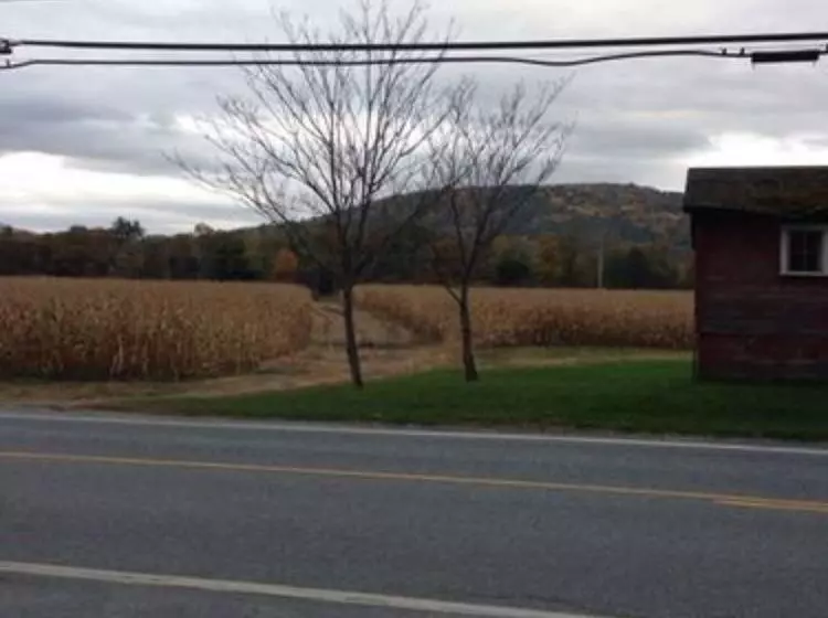 酒店 Silver Maple Lodge & Cottages