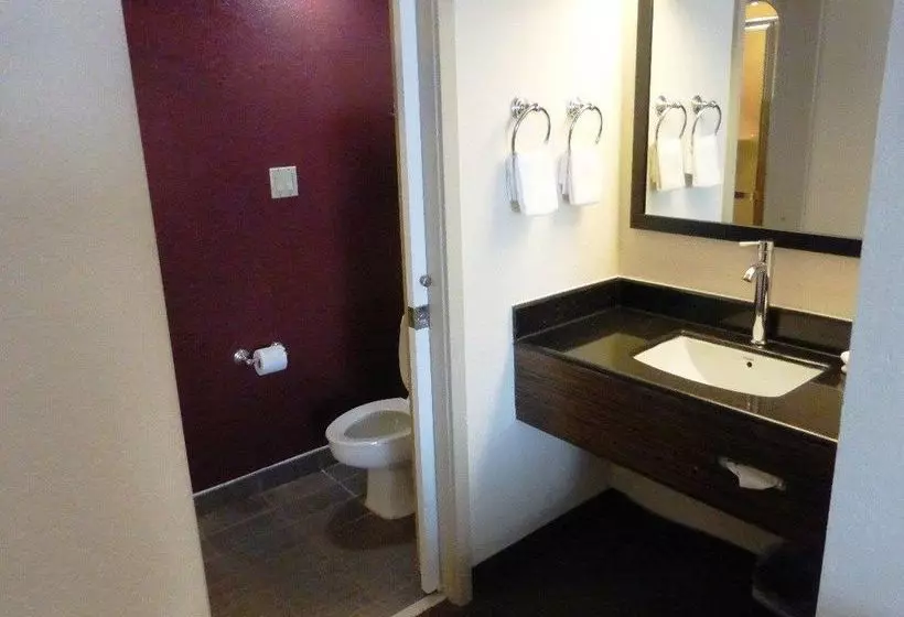 בית מלון כפרי Sleep Inn New Orleans Airport