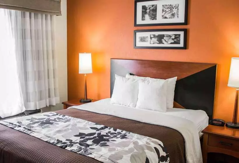 ホテル Sleep Inn Savannah Gateway I95